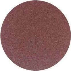 Delta 31-422 12 In. 80 Grit 2 Pc. PSA Aluminum Oxide Sanding Discs